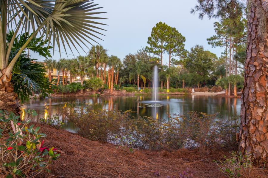 קיסימי Champions World Resort מראה חיצוני תמונה